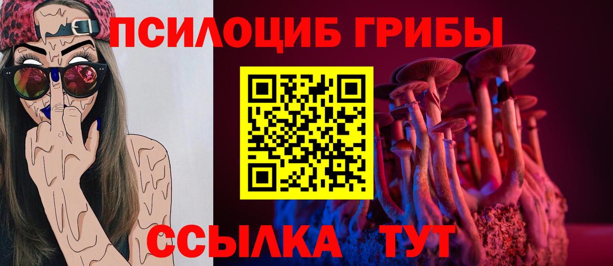 Псилоцибиновые грибы MAGIC MUSHROOMS Подольск